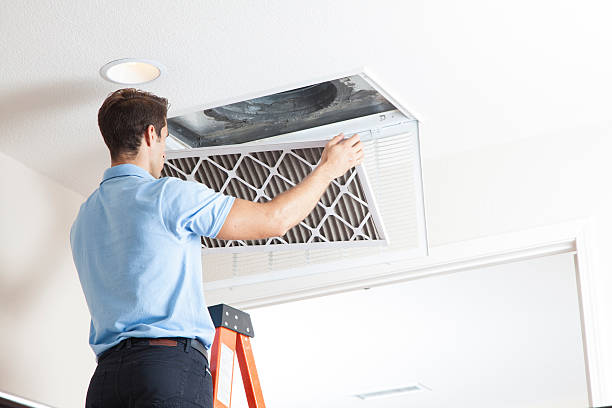 Best Air Filters and Purifiers in Steelville, MO